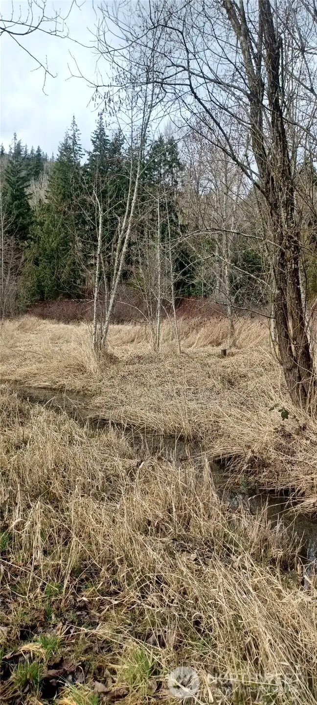 Beginning of property with well head pictured to right