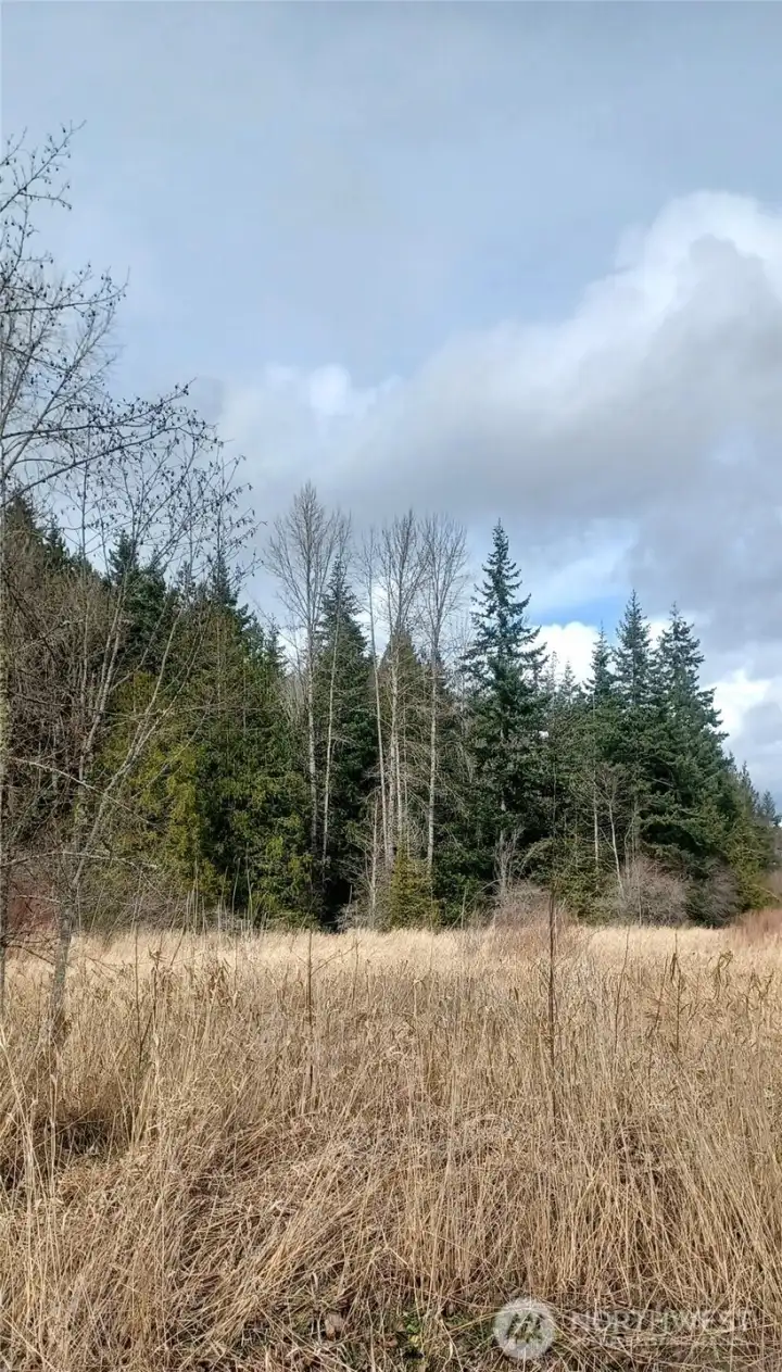 Well-established field abutting good sizeable timber