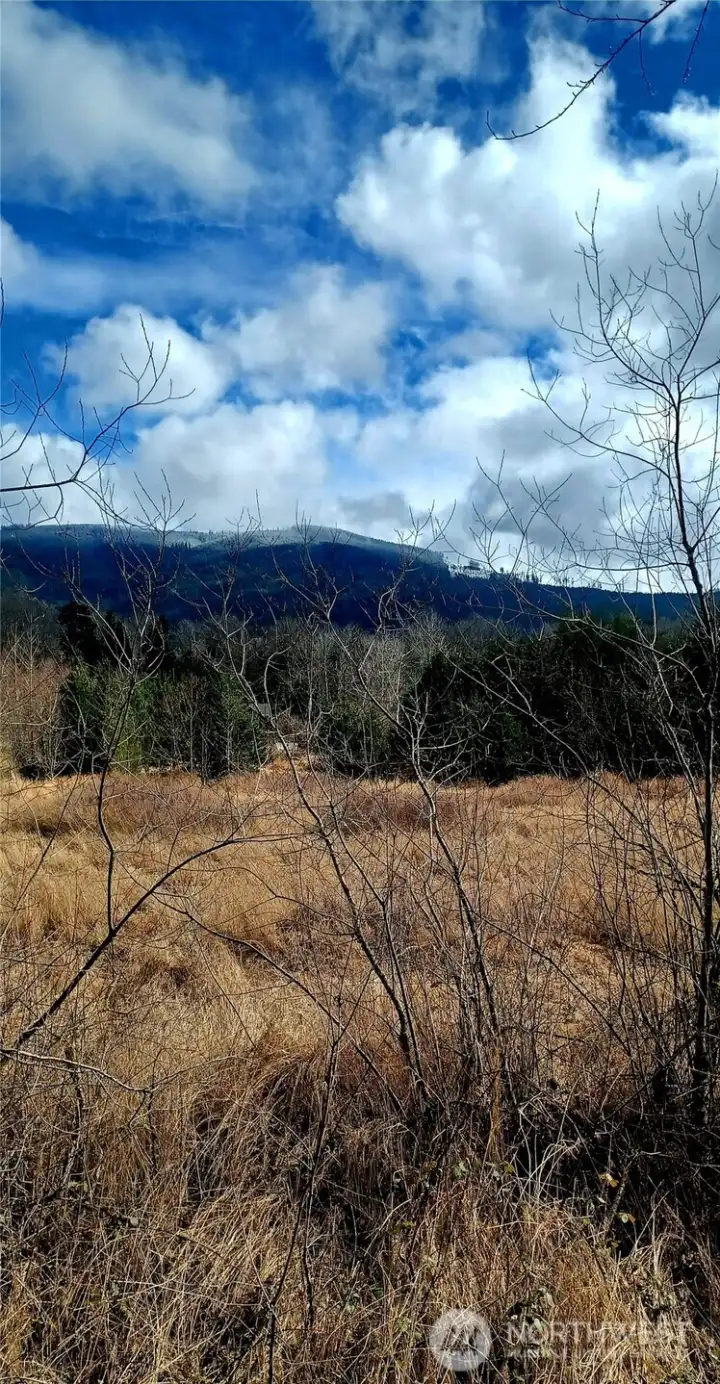 Beautiful views of Stewart Mountain