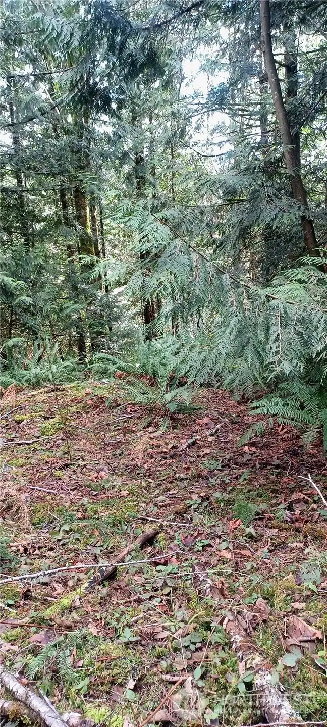 Plenty of level areas