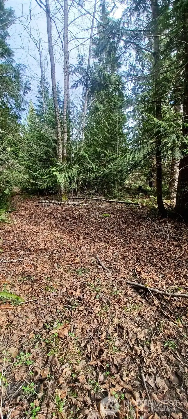 Plenty of level areas