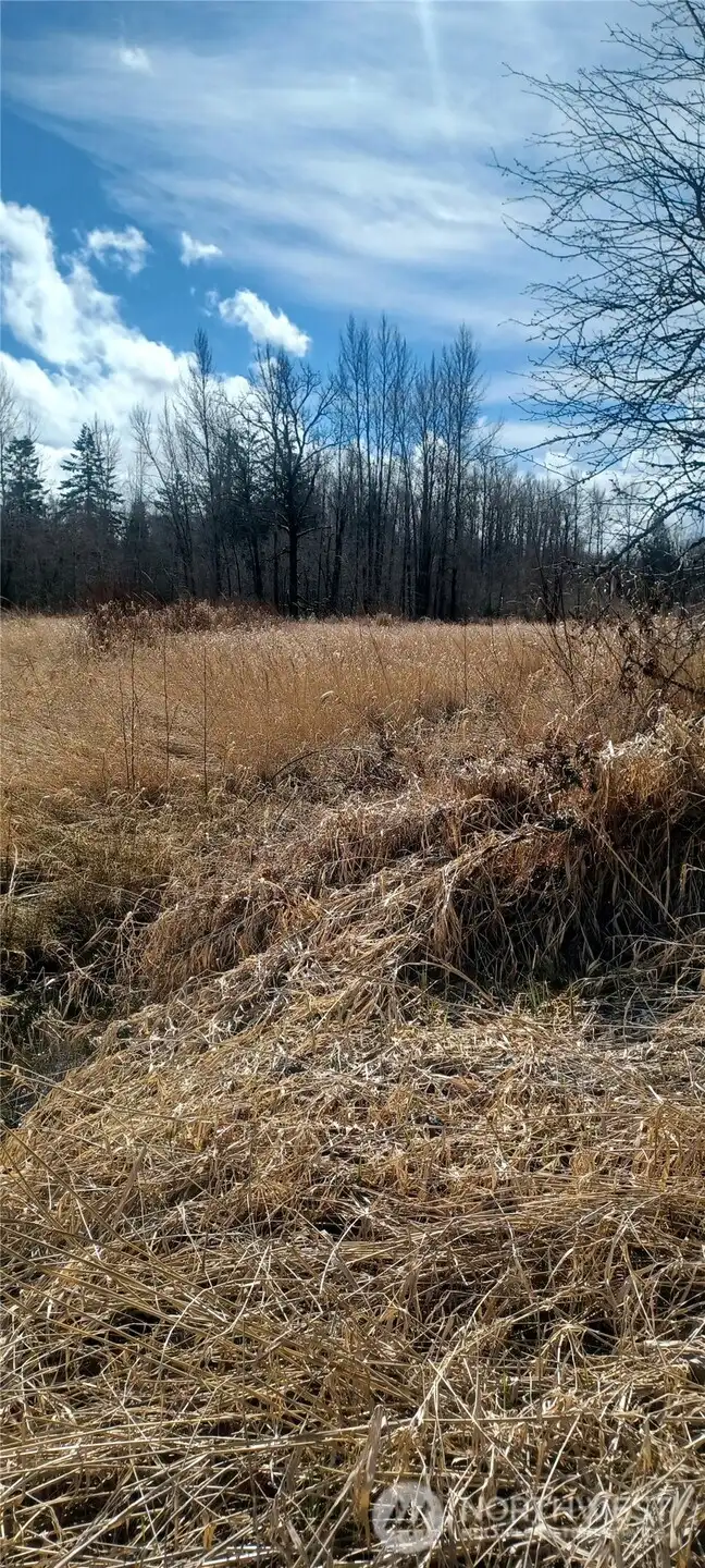 Well established field