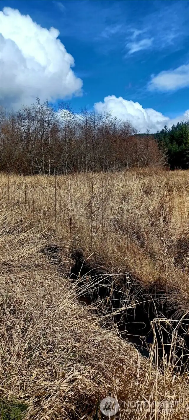 Well established field