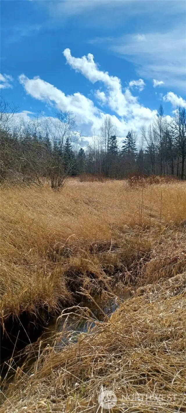 Well established field