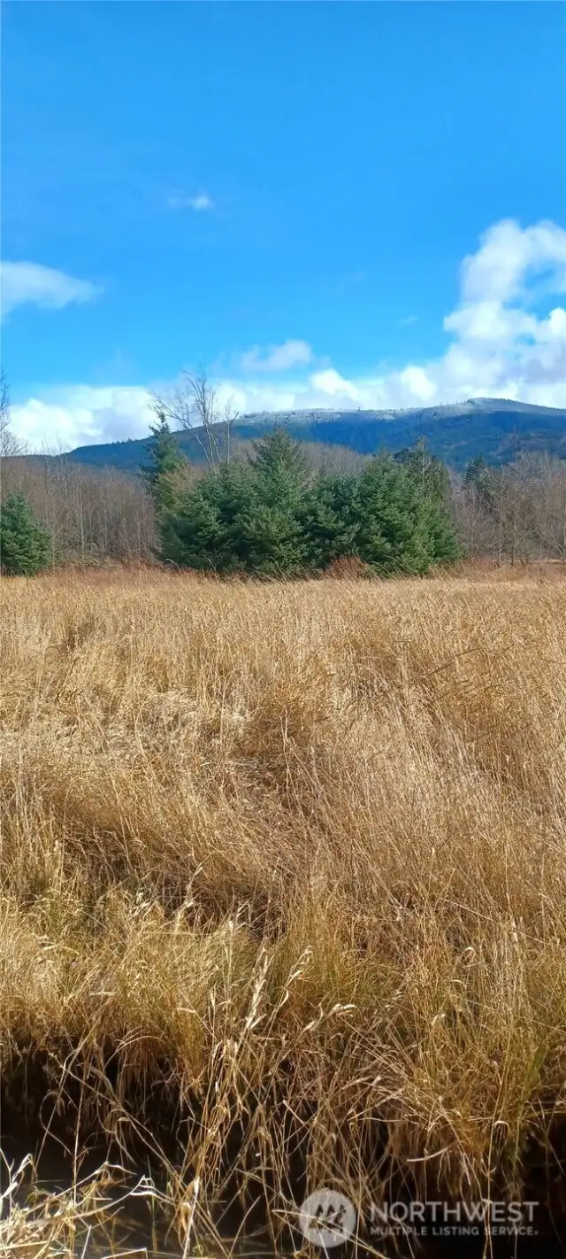 Well established field