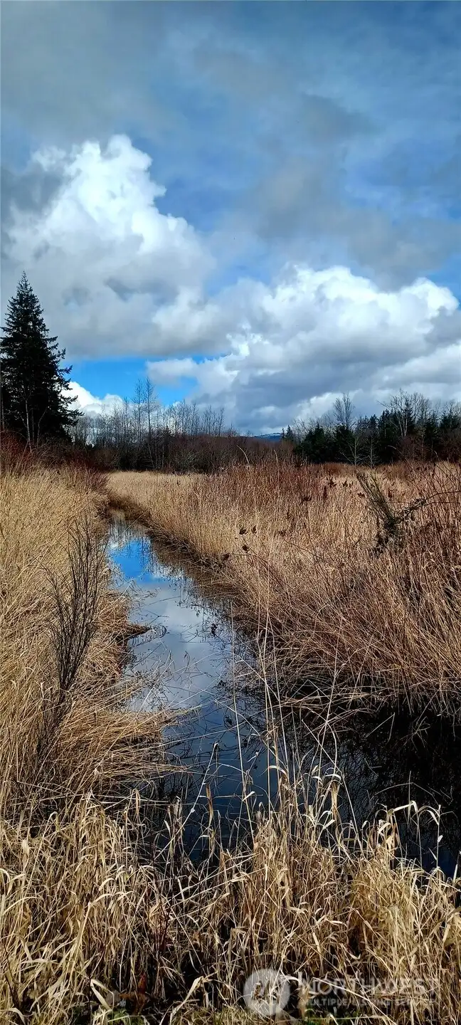Well established field with drainage ditch