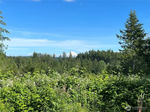 mt. rainier