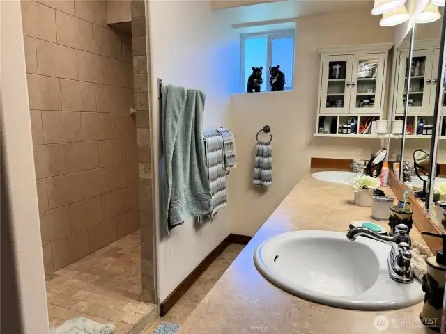 Master Bathroom showing walk in tile shower.
