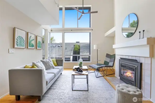 Wall of Windows in High Celing Living Room