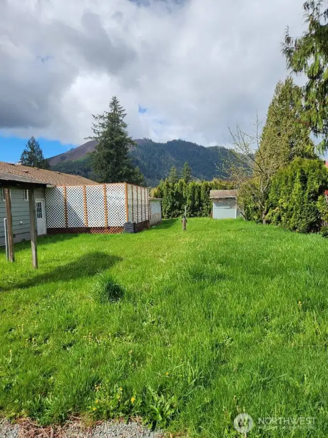 Backyard