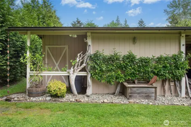 Small barn with a pasture. Ready for animals, even a horse, or use it as a shop or more storage.