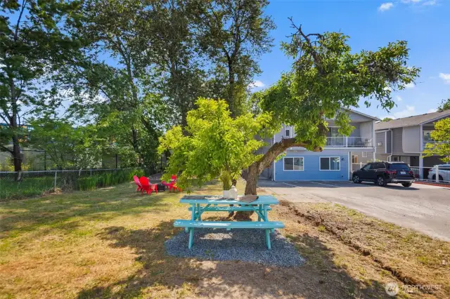 Trees at the far end provide privacy.