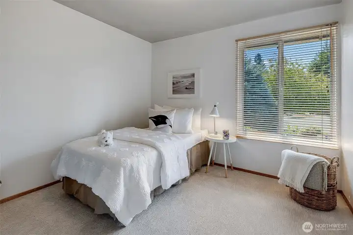 Second bedroom with new carpet and paint off the main hallway.