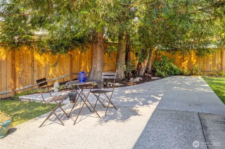 Excellent entertaining space with a level patio and a grassy area, plus a little natural shade on hot days. Perfect for summer BBQ gatherings.