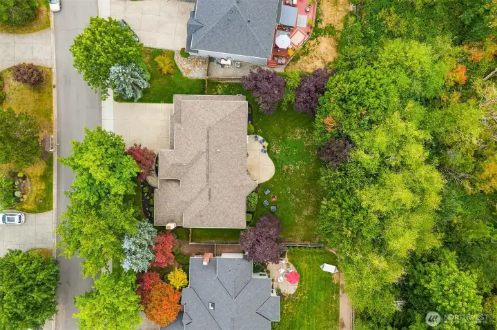 Aerial view of this premium cul-de-sac lot, backing to green space.