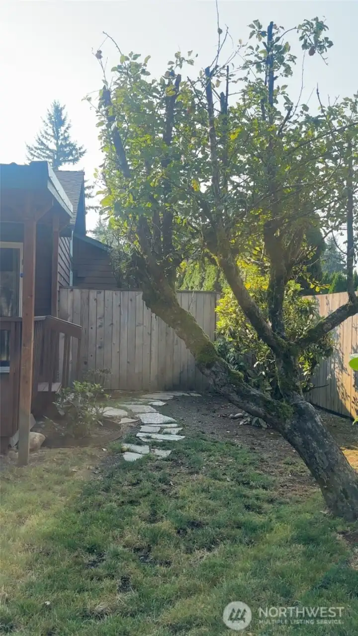 side of house