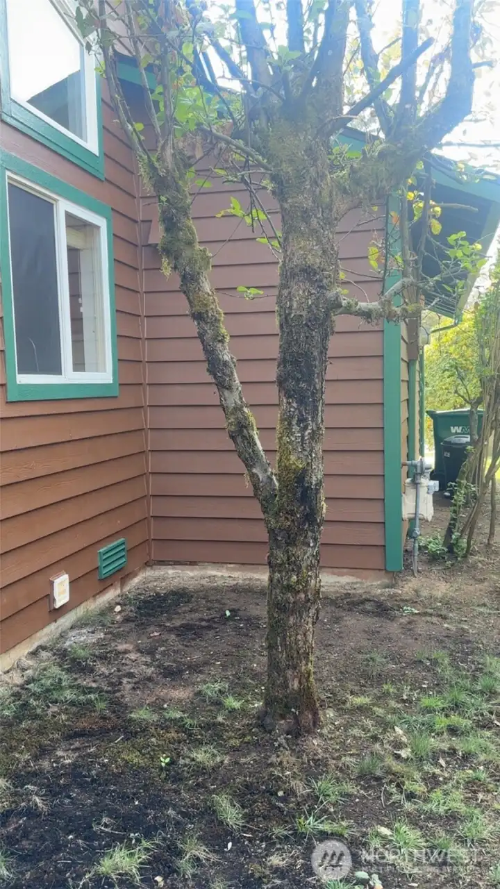 side of house
