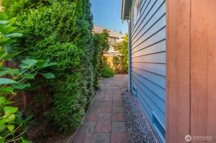 Time to check out the backyard