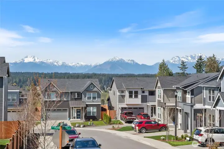 180° Olympic Mountain view.