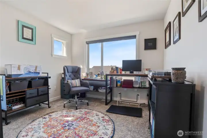 2nd Bedroom with walk-in closet and mountain view