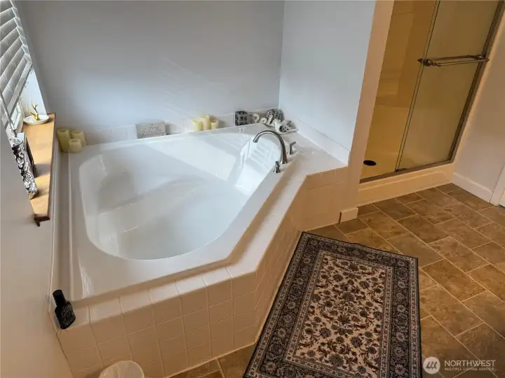 Ensuite Luxurious Soaking Tub and Shower areas.