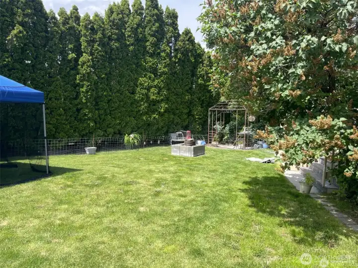 Side view of large back yard.