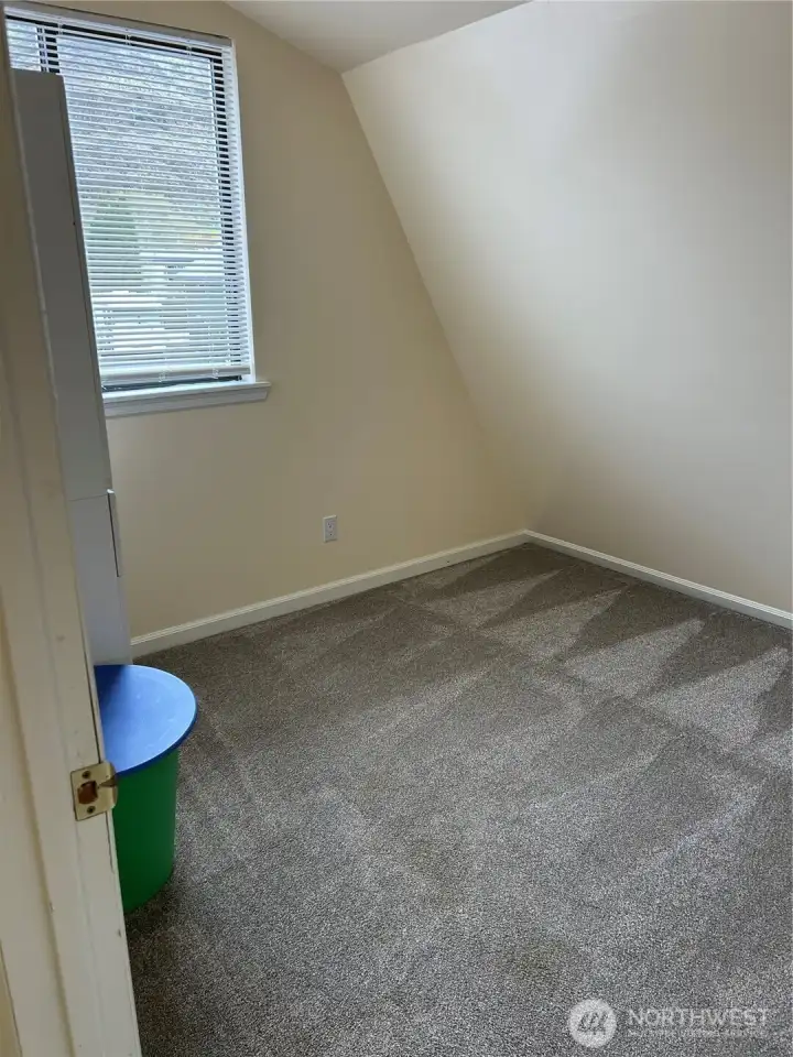 Bedroom #2 on the upper level. Also with great views of the Basalt MT.