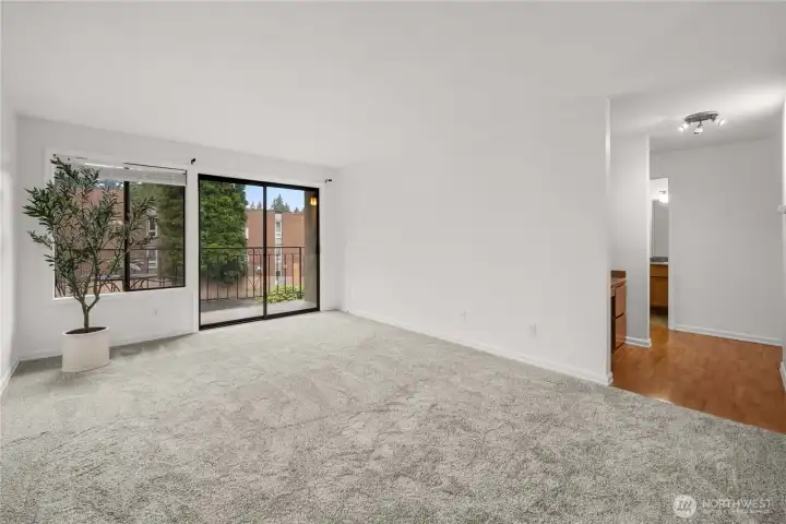 Spacious Living Room