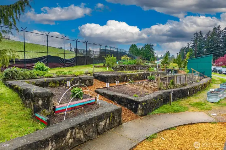 Community Garden across the street