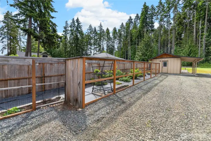 fenced/netted gardens w/drip irrigation fenced/netted gardens w/drip irrigation