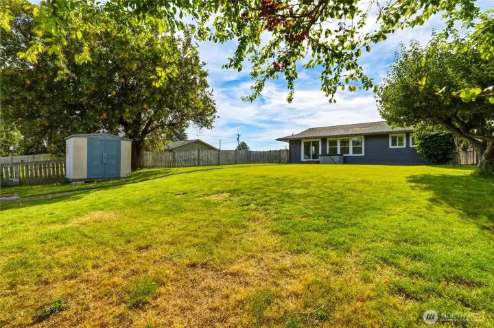 Backyard storage shed beside a mature tree, with open lawn stretching back toward the house. Backyard storage shed beside a mature tree, with open lawn stretching back toward the house.