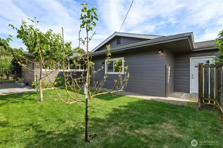 Entry courtyard with a young, already-fruiting cherry tree on the lawn, entry gate, garage access door and container gardens. Entry courtyard with a young, already-fruiting cherry tree on the lawn, entry gate, garage access door and container gardens.