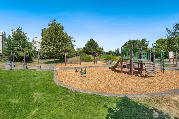 Judkins Park and Playfield