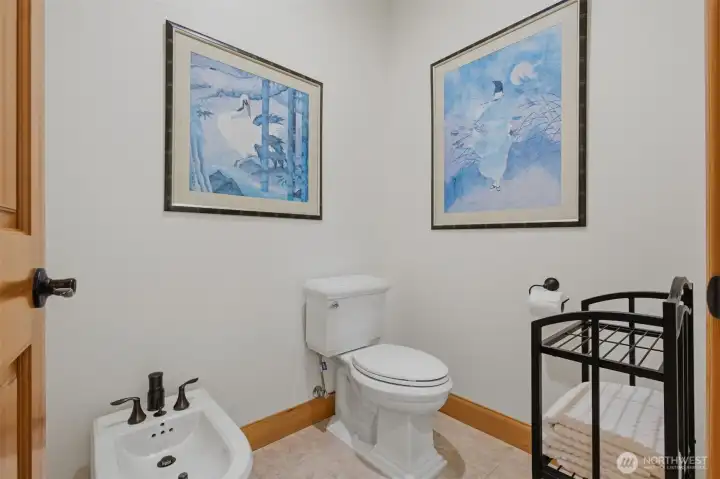 Bidet in Primary Water Closet
