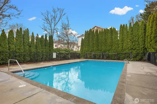 Sterling Square's outdoor pool .. perfect for those hot summer days that are coming!
