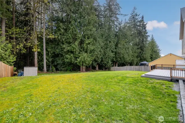 Lots of potential in this large back yard!