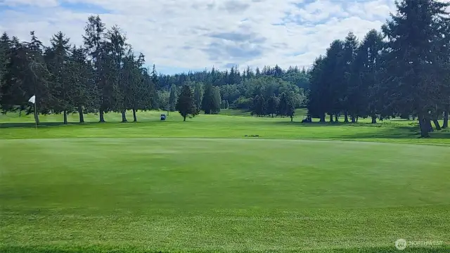 After a beach walk play a round of golf. The Swinomish Golf course is a 3 minute drive.