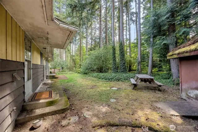 Back yard is fenced and filled with mature trees and ivy.