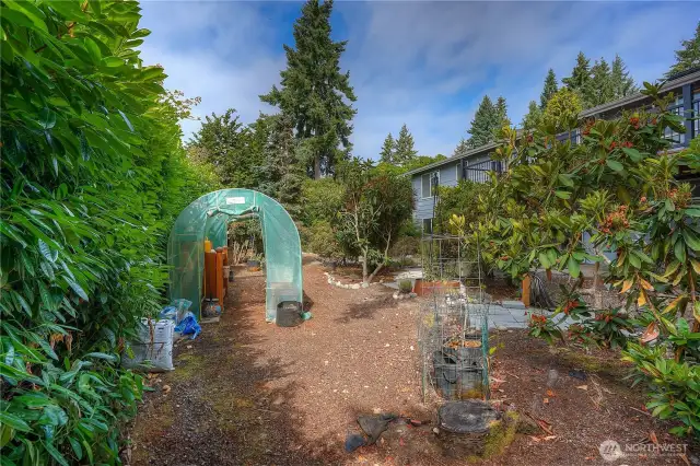 Greenhouse