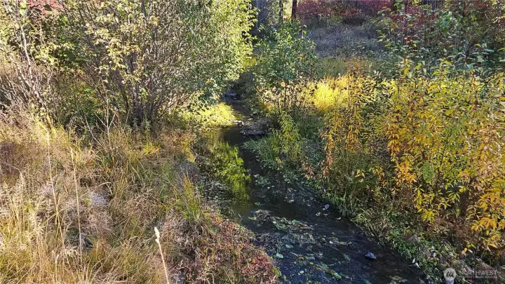 Williams Creek runs year round