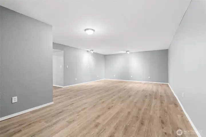 Massive rec room on lower level.