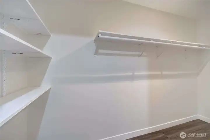 Lower Level Walk in Closet for Bedroom #3