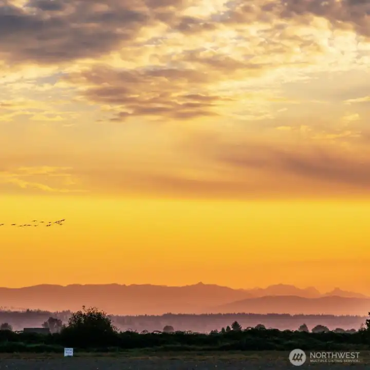 Photos are for illustrative purposes only.