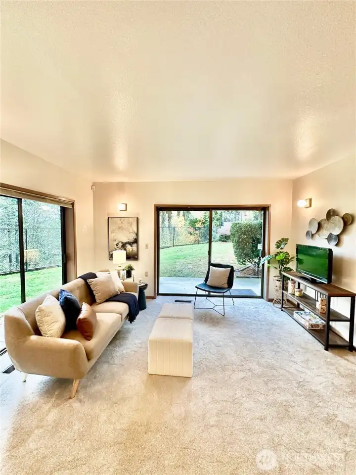 Bonus living room at lower level.