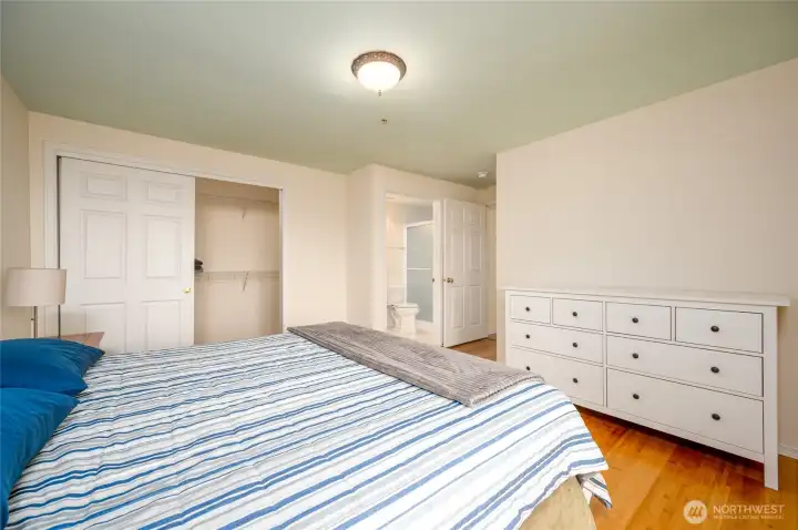 Large master with closet and ensuite bathroom