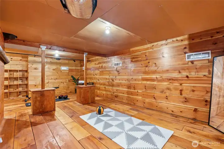 Partially finished crawl space