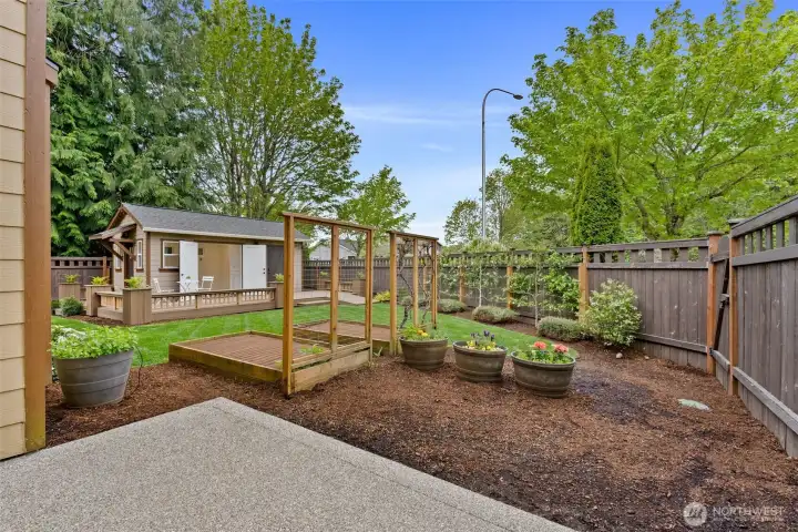 Raised garden beds with drip irrigation—ready for planting