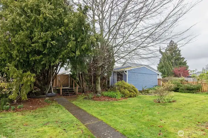 A huge beautiful backyard.