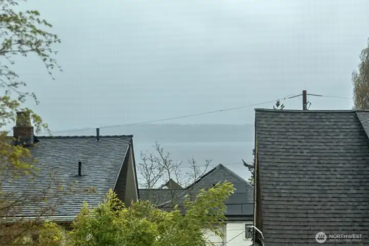 Rainy foggy day view of Shilshole Bay from an upstairs bedroom.