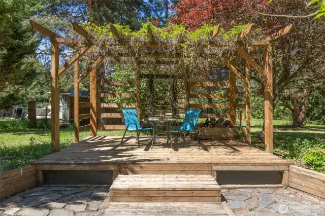 Vine covered pergola!